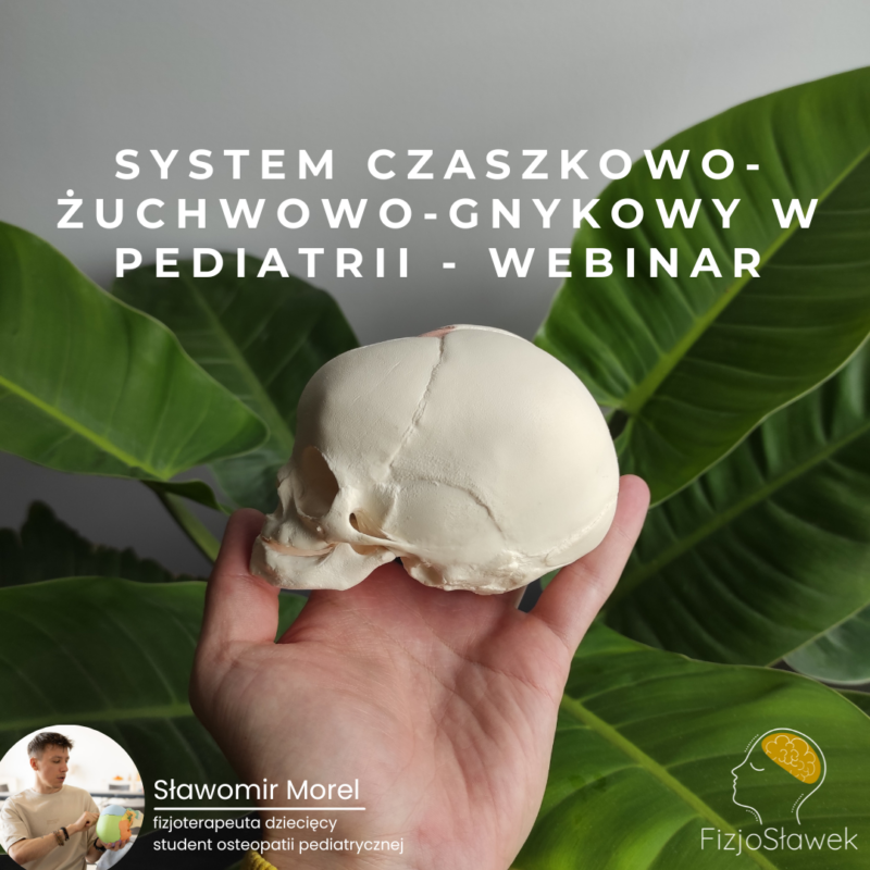 system zuchwowo-czaszkowo-gnykowy w pediatrii webinar