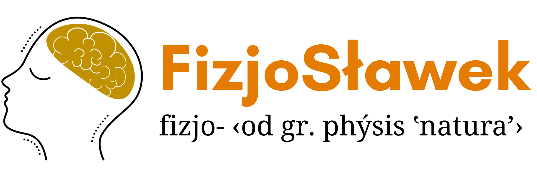 FizjoSławek