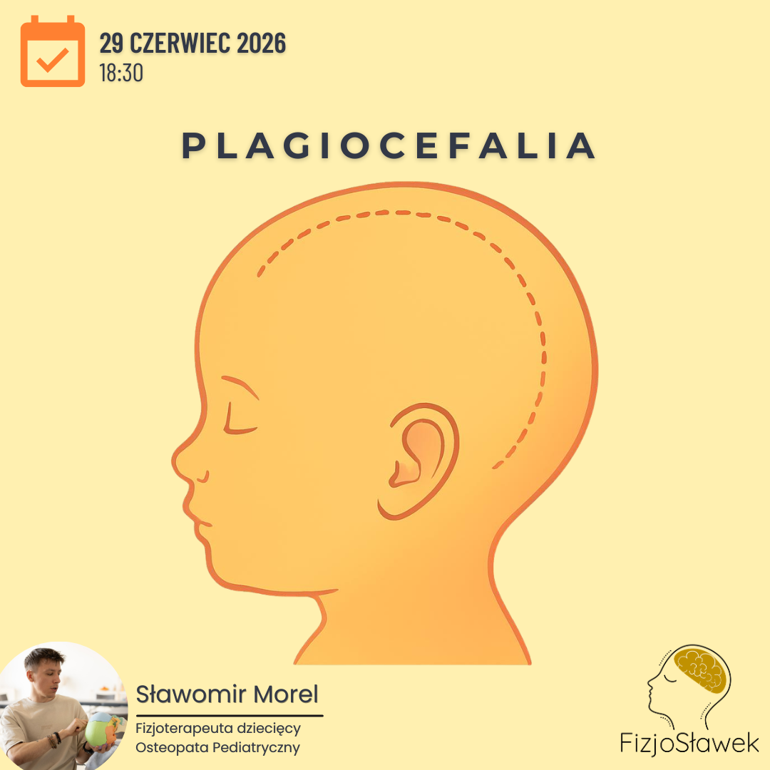 plagiocefalia kurs osteopatia