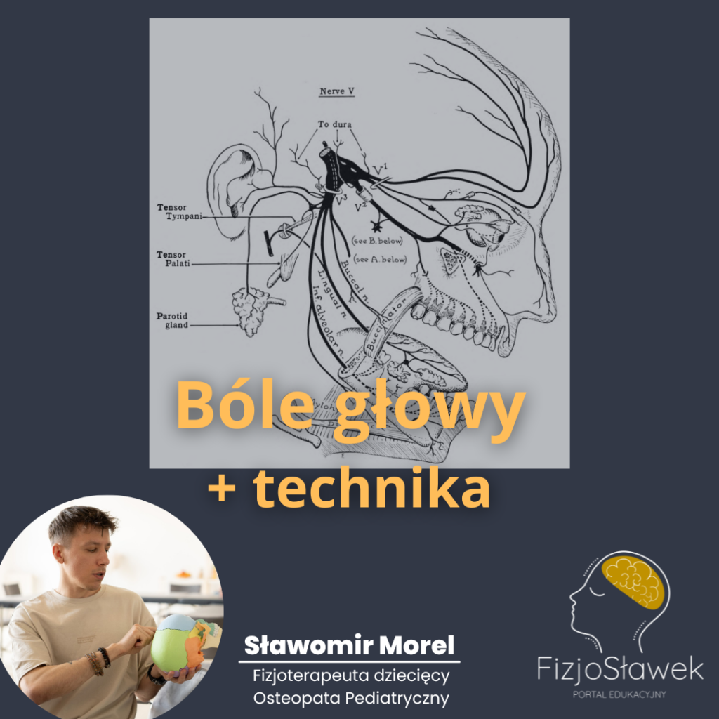 bóle głowy osteopatia kurs online webinar